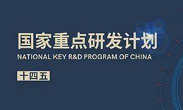 疾病類(lèi)器官模型被列為“十四五”首批重點(diǎn)專(zhuān)